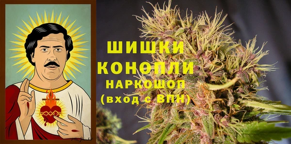 гидра Няндома