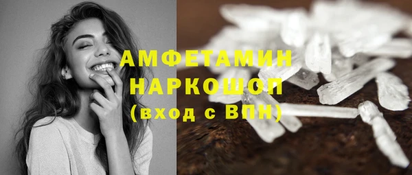 гидра Няндома