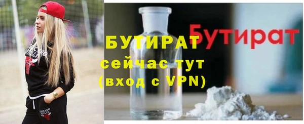гидра Няндома