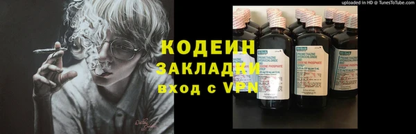 гидра Няндома