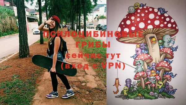 mdpv Нягань