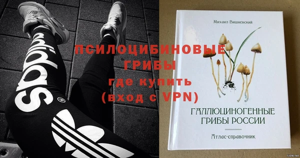 гидра Няндома