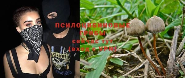 mdpv Нягань