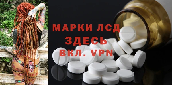 гидра Няндома