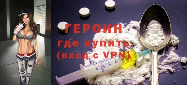 гидра Няндома