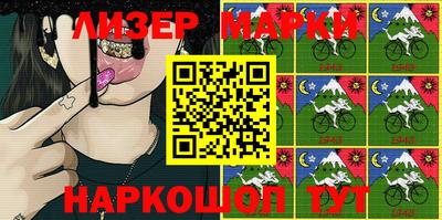 прущие грибы Будённовск