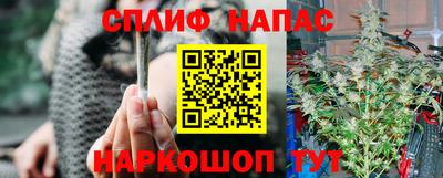 молекула духа Бузулук