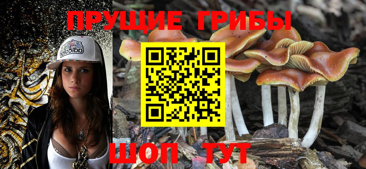 Псилоцибиновые грибы ЛСД  Нягань 